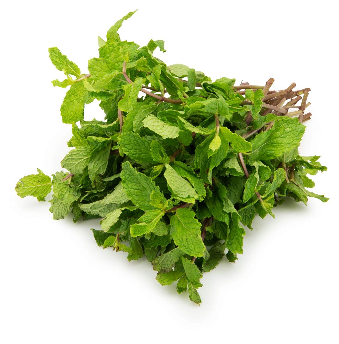 Mint | पुदीना