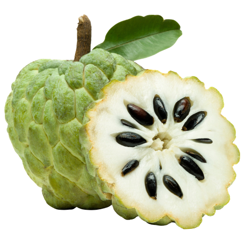 Custard Apple | सीताफळ