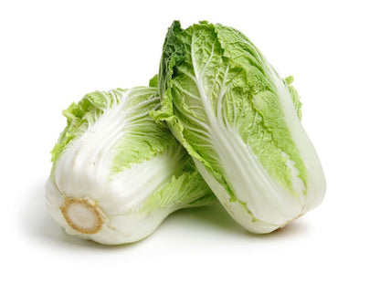 Chinese Cabbage | चीनी गोभी