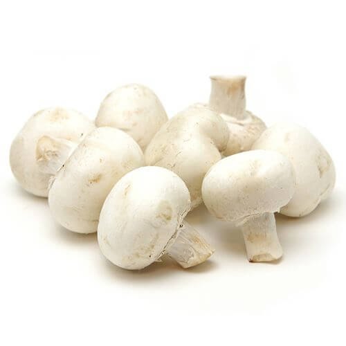 Mushroom | मशरूम
