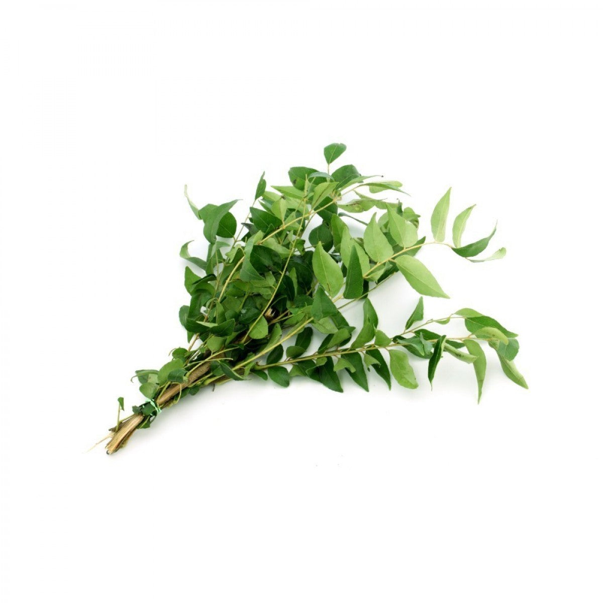 Cury Leaves | कढीपत्ता