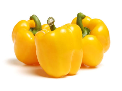 Capsicum Yellow | पीली शिमला मिर्च